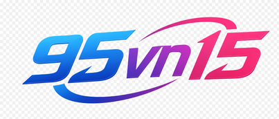 95vn15 logo